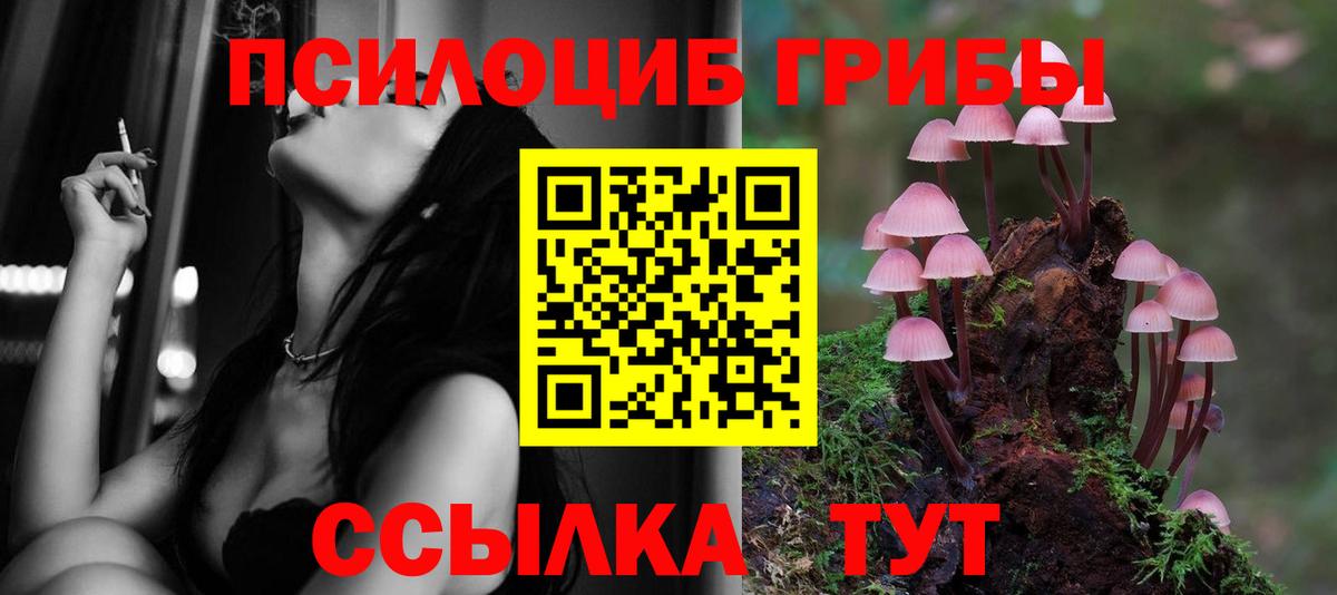 Самара  Псилоцибиновые грибы мицелий  Вход с VPN  Галлюциногенные грибы мицелий 